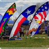 Sugar Land Kite Festival